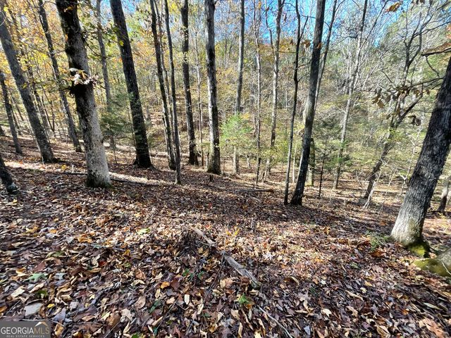 501 Raleigh Road, Woodbury, GA 30293