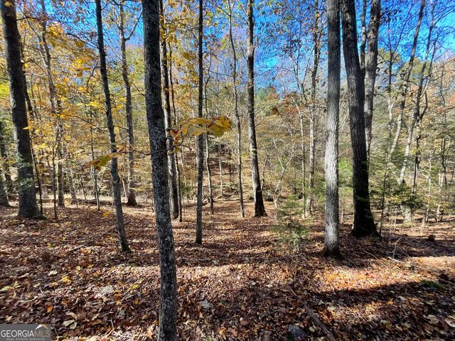 501 Raleigh Road, Woodbury, GA 30293