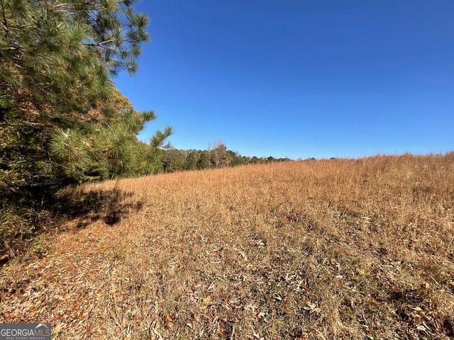 501 Raleigh Road, Woodbury, GA 30293