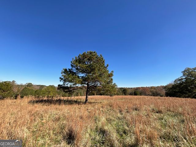 501 Raleigh Road, Woodbury, GA 30293