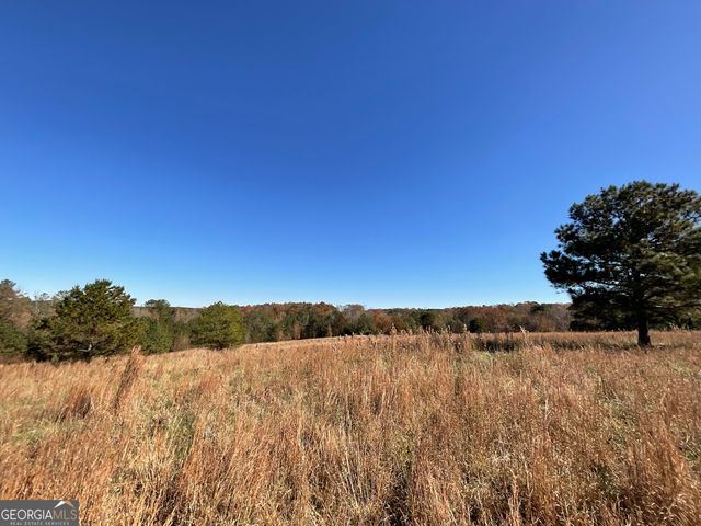 501 Raleigh Road, Woodbury, GA 30293