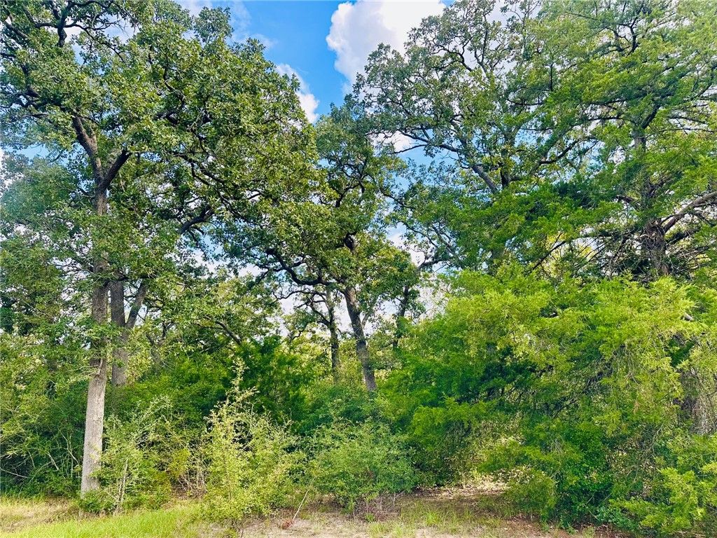 10559 Hampton Court, Iola, TX 77861 — exterior