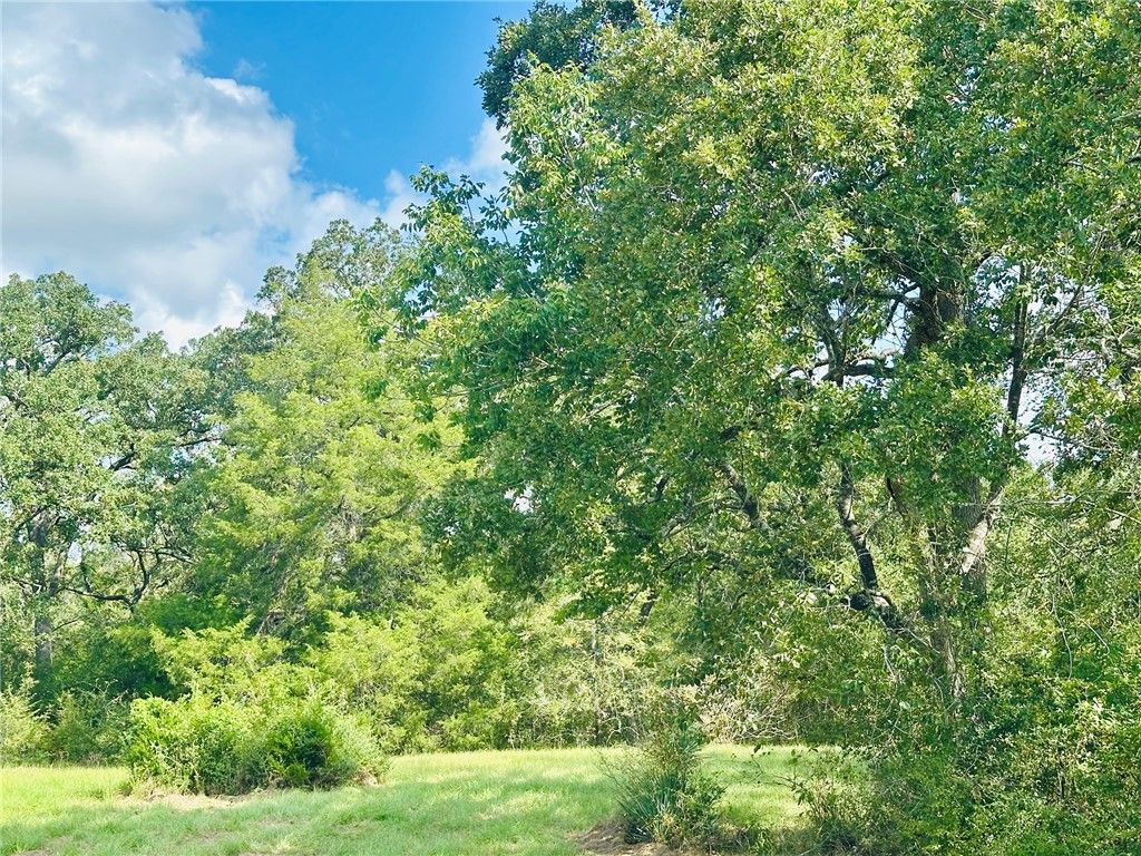 10559 Hampton Court, Iola, TX 77861 — photo 2