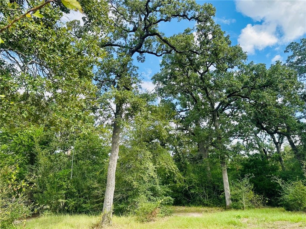 10559 Hampton Court, Iola, TX 77861 — photo 3