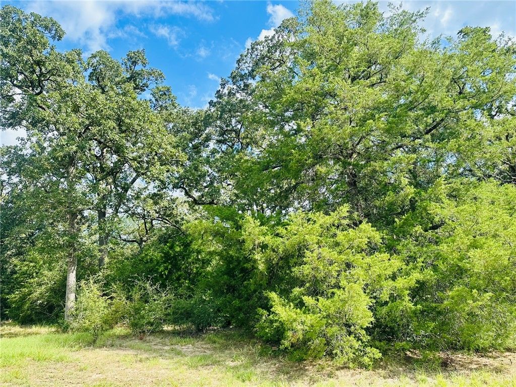 10559 Hampton Court, Iola, TX 77861 — photo 4