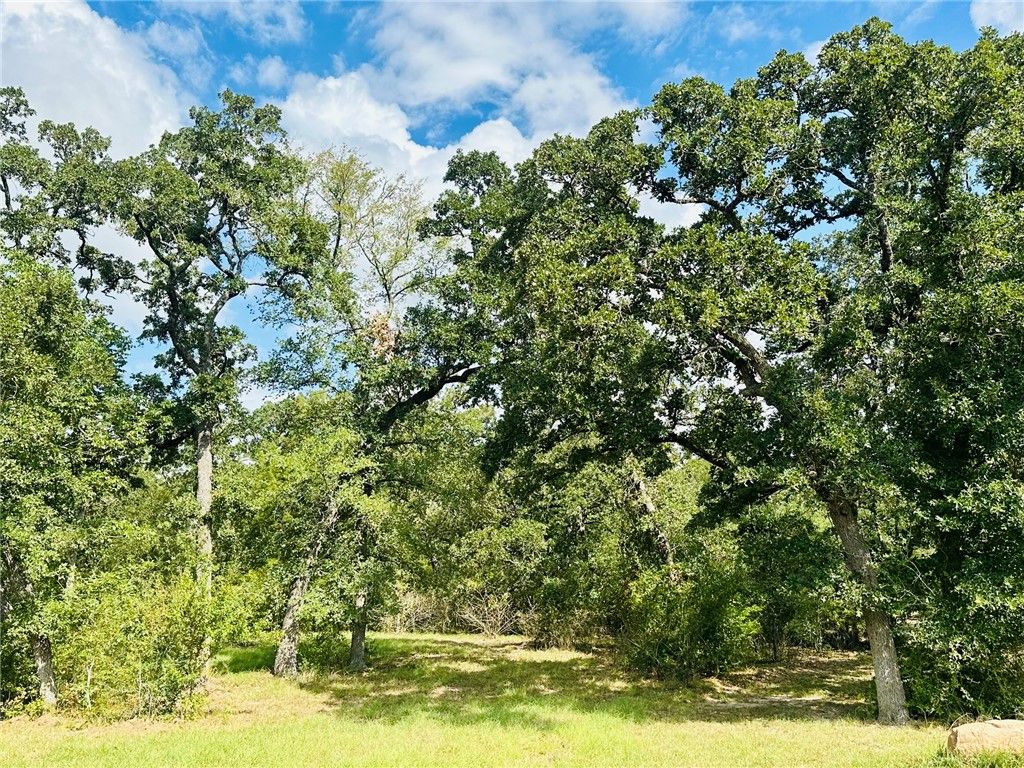 10559 Hampton Court, Iola, TX 77861 — photo 5