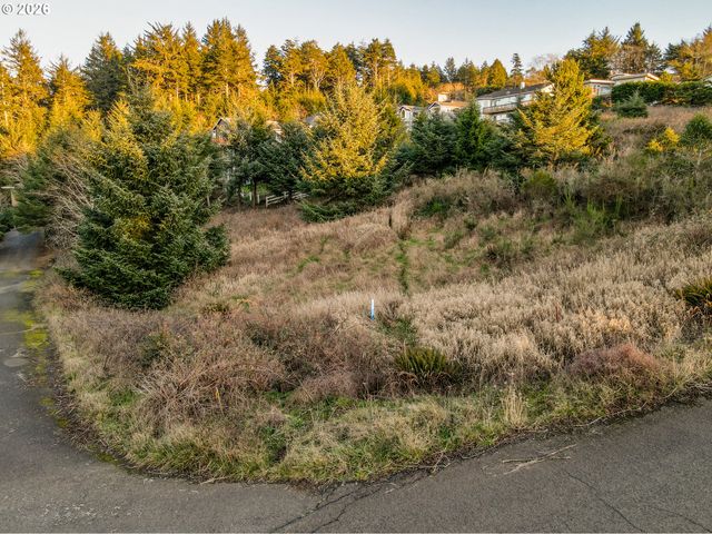 Valley View Dr, Pacific City, OR 97135