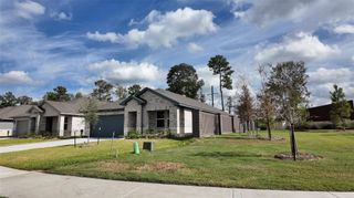 16281 Parish Pointe Court, Conroe, TX 77302