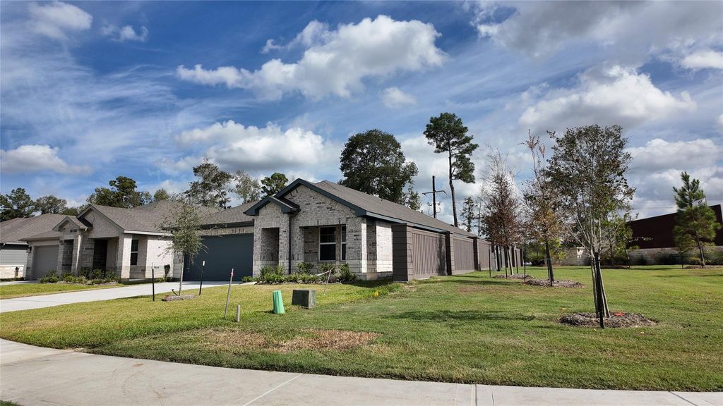16281 Parish Pointe Court, Conroe, TX 77302