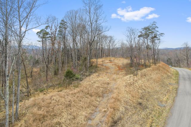 Lot 2 Moorman RD, Hardy, VA 24101