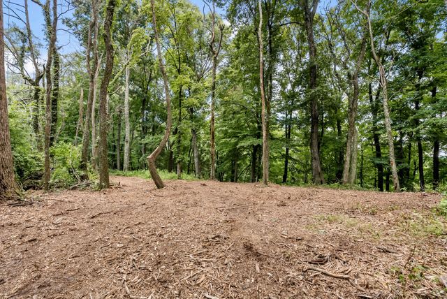 0 Carters Creek Pike, Franklin, TN 37064