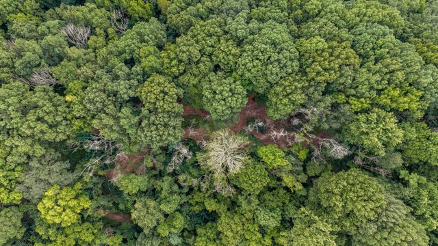 0 Carters Creek Pike, Franklin, TN 37064