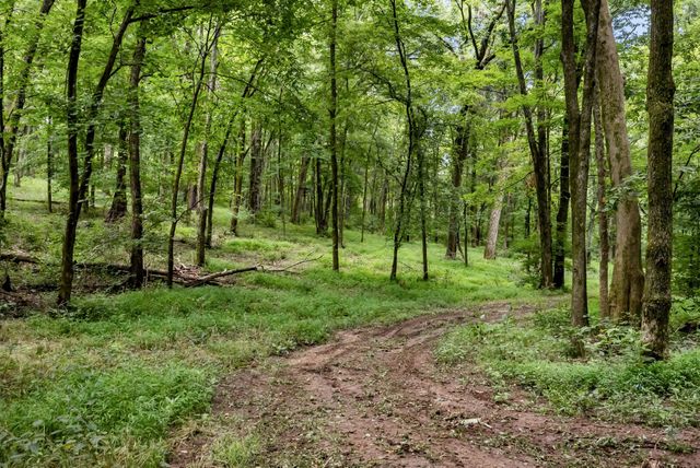0 Carters Creek Pike, Franklin, TN 37064