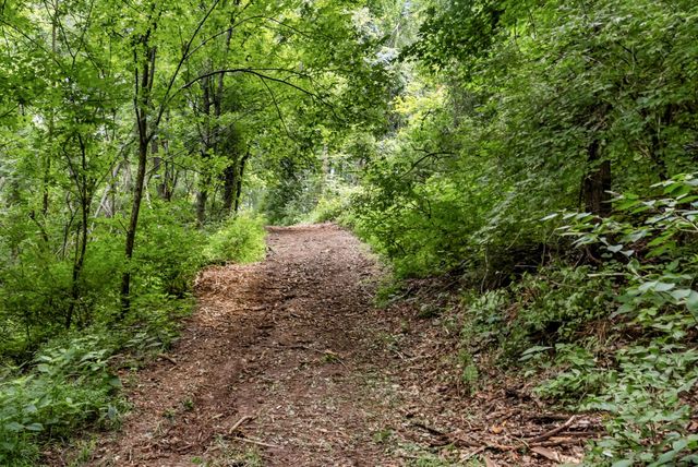 0 Carters Creek Pike, Franklin, TN 37064
