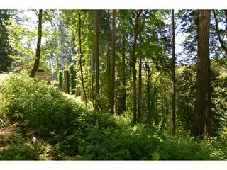 2427 Archwood Dr, Longview, WA 98632