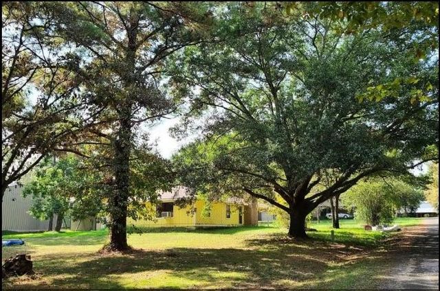 161 Yellowstone, Livingston, TX 77351