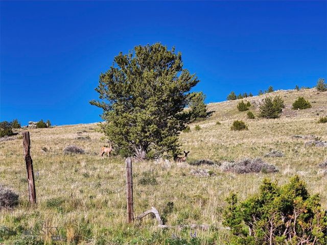 Lost Heart Ranch Ennis Lake Rd, Mcallister, MT 59740