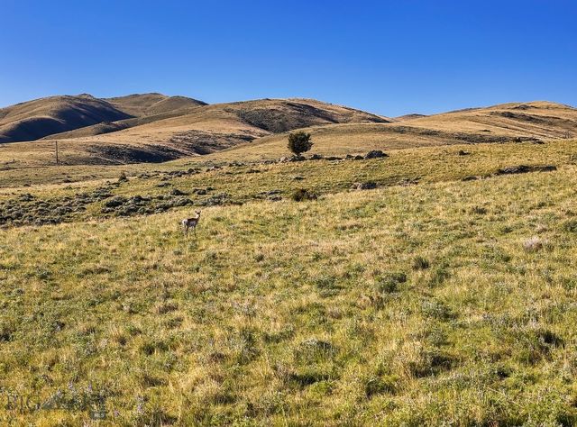 Lost Heart Ranch Ennis Lake Rd, Mcallister, MT 59740