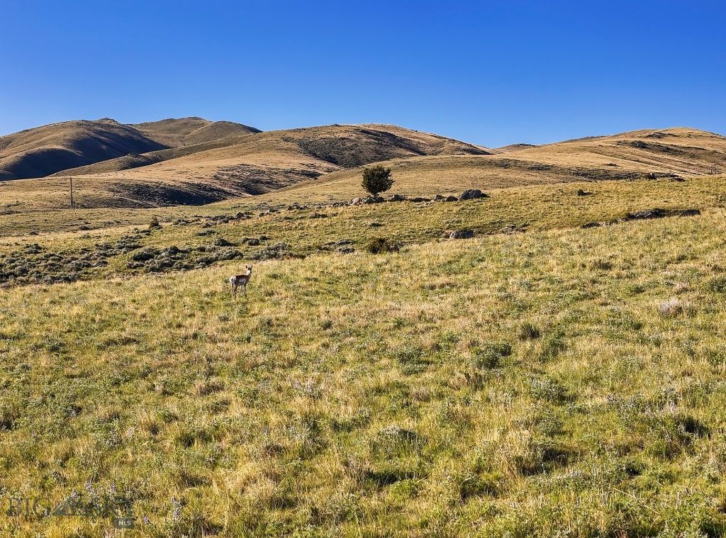 Lost Heart Ranch Ennis Lake Rd, McAllister, MT 59740 photo 19