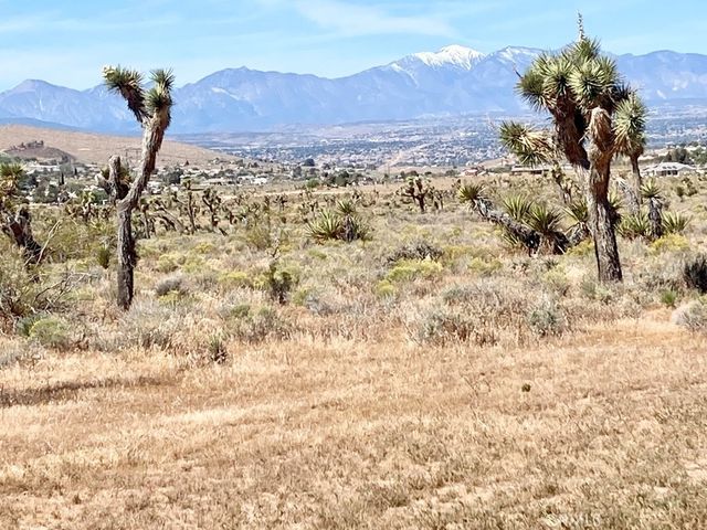 9950 Belfast Road, Apple Valley, CA 92308