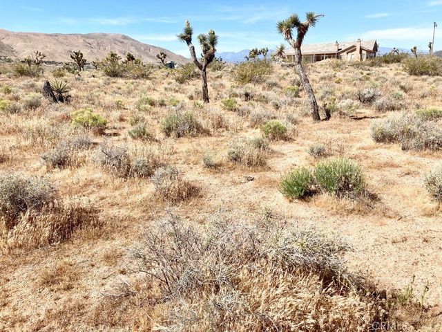 9950 Belfast Road, Apple Valley, CA 92308