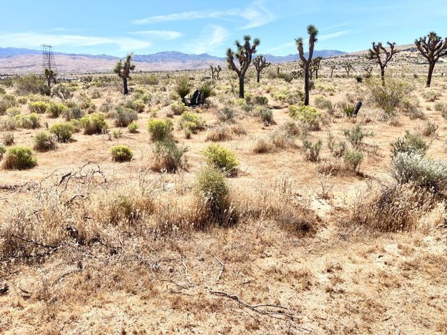 9950 Belfast Road, Apple Valley, CA 92308