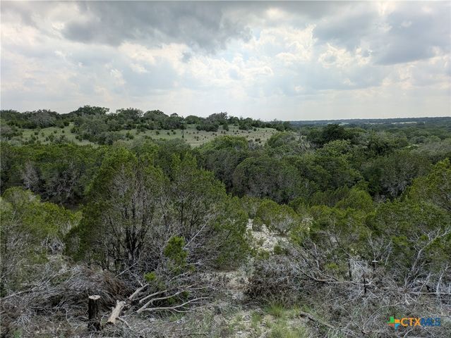 Tract 2 County Road 4390, Kempner, TX 76539