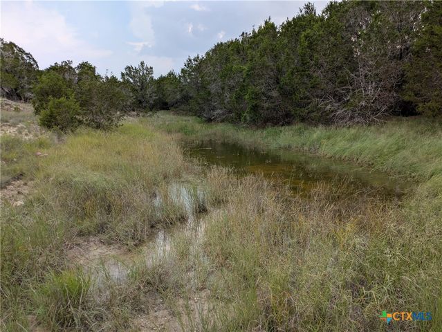 Tract 2 County Road 4390, Kempner, TX 76539