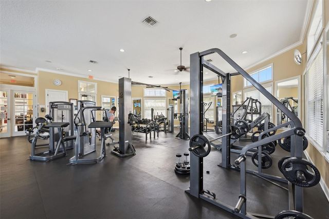 8179 MARITIME FLAG STREET 101, Windermere, FL 34786