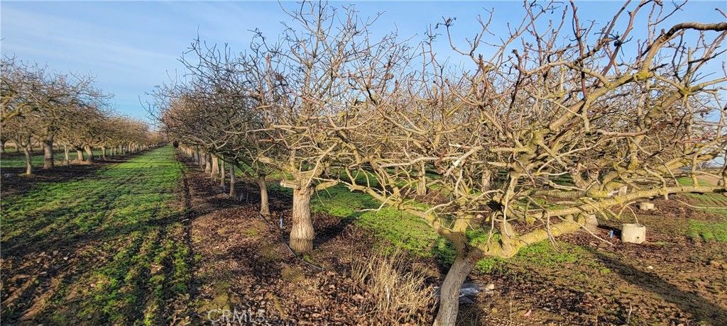 Image 2 of property listing at 0 Santa Fe, Chowchilla, CA 93610