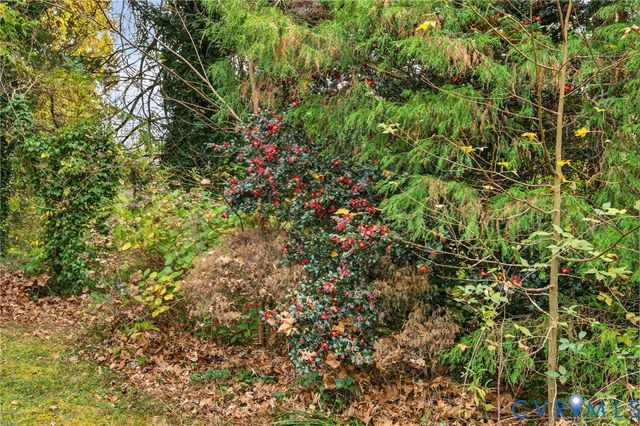 18518 Rowanty Ln, Dinwiddie, VA 23841