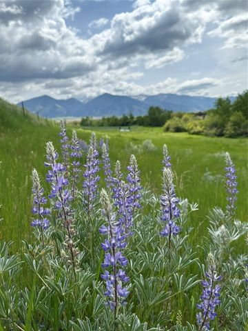 1535 Reynolds Creek Road, Belgrade, MT 59714