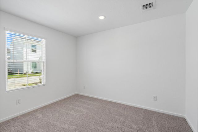 30530 Wolfburn Street, Waller, TX 77484