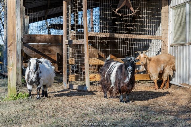 2250 Dillard Road, Brenham, TX 77833