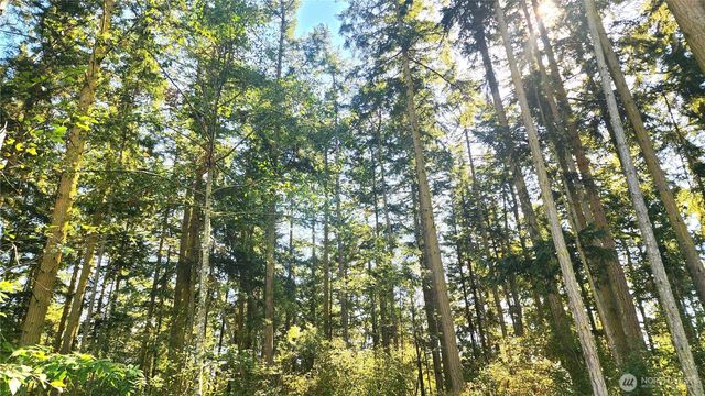 1976 Boon Road, Oak Harbor, WA 98277