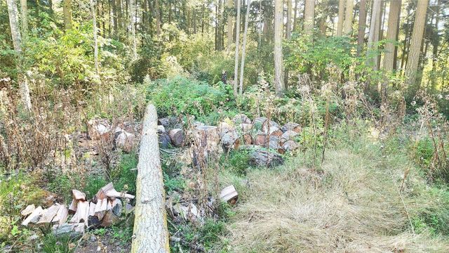 1976 Boon Road, Oak Harbor, WA 98277