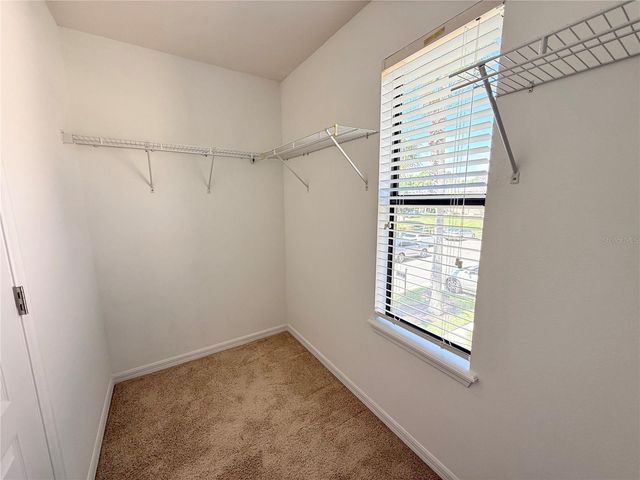 10243 VILLA PALAZZO COURT, Tampa, FL 33615