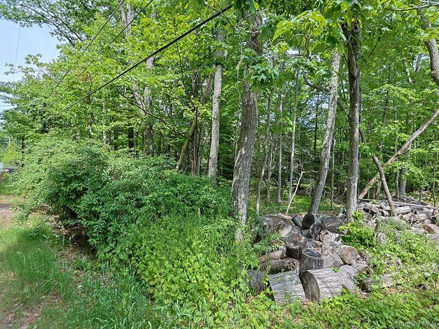 4 Spruce Street E, Wurtsboro, NY 12790
