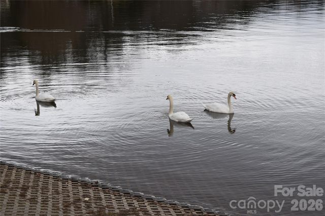 61 White Dogwood Lane, Lake Junaluska, NC 28745