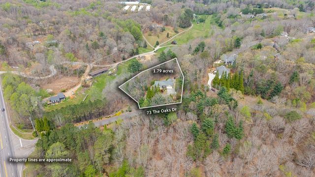 73 The Oaks Drive, Ellijay, GA 30540