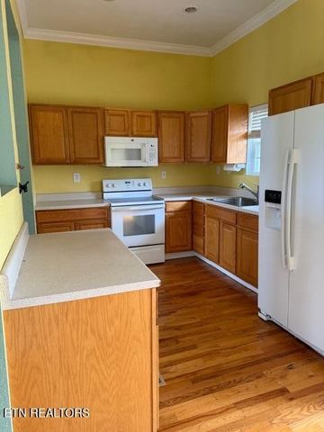 135 Lee's Chapel Rd, Sweetwater, TN 37874