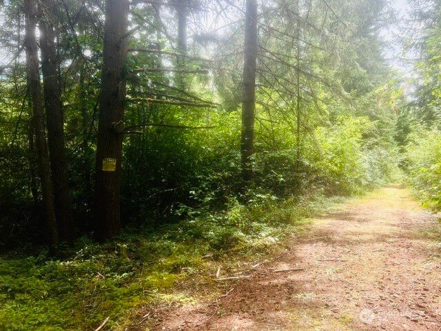 33414 68th Avenue S, Roy, WA 98580