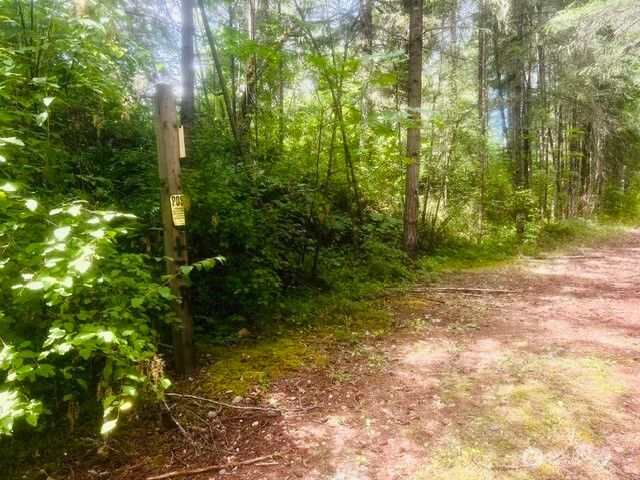 33414 68th Avenue S, Roy, WA 98580
