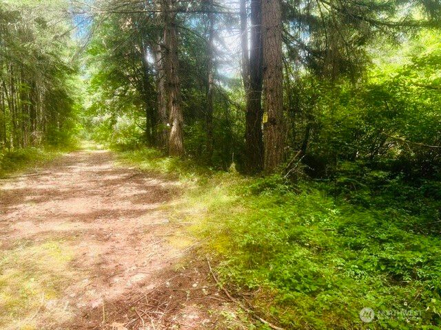 33414 68th Avenue S, Roy, WA 98580