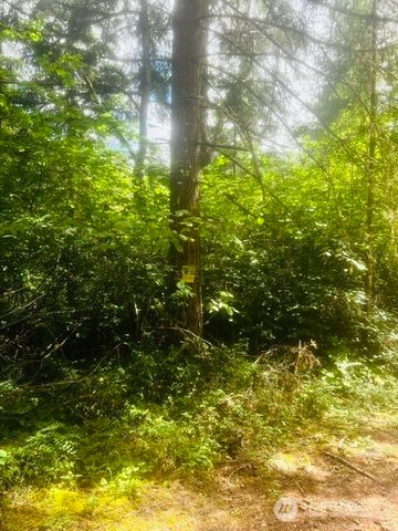 33414 68th Avenue S, Roy, WA 98580