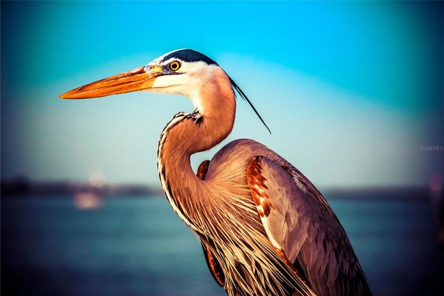 1500 PARK BEACH CIRCLE 5G, Punta Gorda, FL 33950