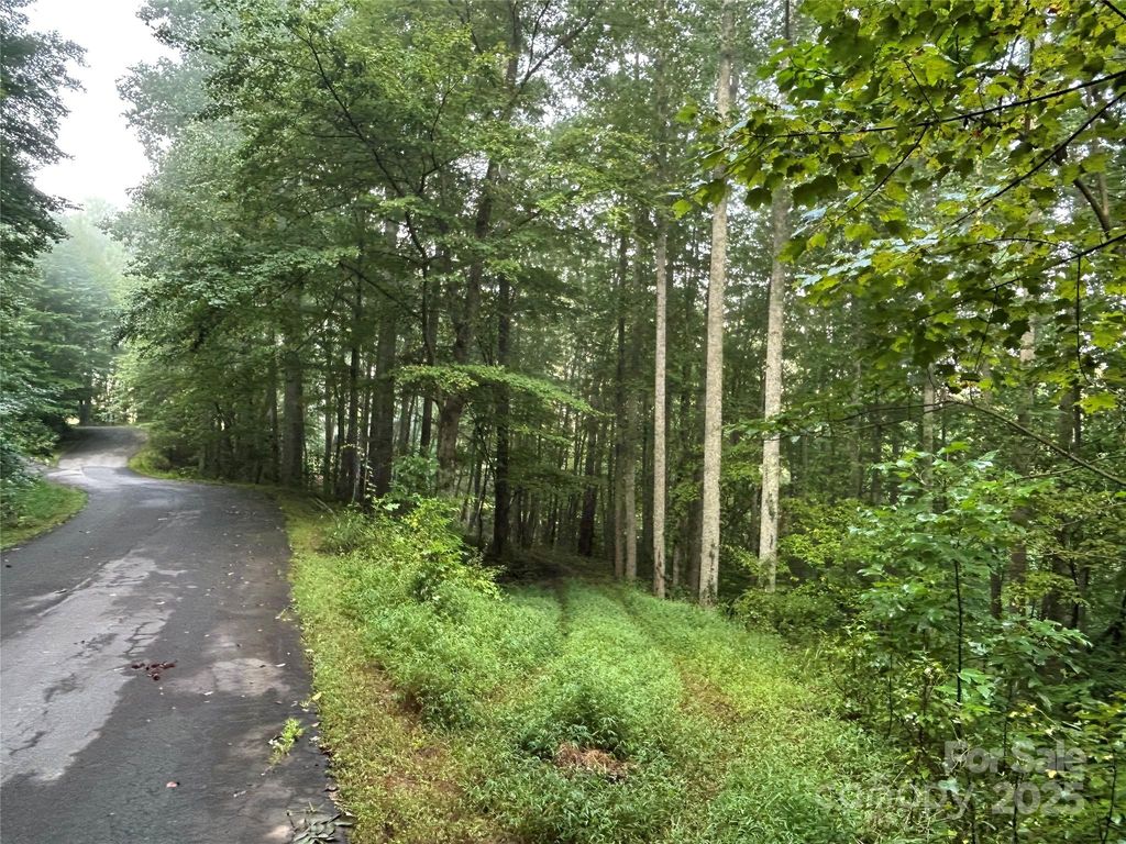 100 S Lindon Cove Road 35, 36, Candler, NC 28715