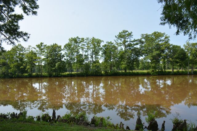 27490 Donnie Harrelson Lane, Andalusia, AL 36421