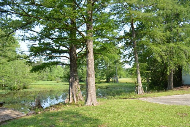 27490 Donnie Harrelson Lane, Andalusia, AL 36421