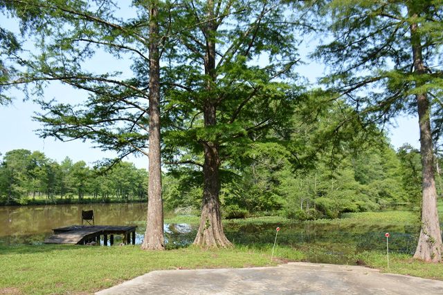 27490 Donnie Harrelson Lane, Andalusia, AL 36421